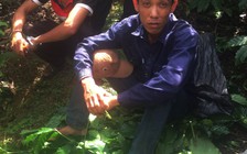 Bắt quả tang 2 anh em ruột cắt trộm chồi cà phê