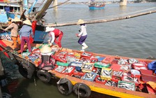 Đặc biệt trên báo in ngày 4.7.2017