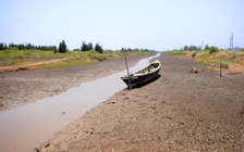 Nước ít, lún nhanh đe dọa ĐBSCL