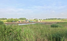 'Xí' dự án rồi bỏ hoang