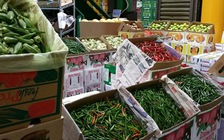 Người Việt làm giàu bằng nghề nông trên đất Úc