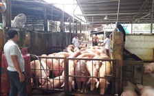 Đặc biệt trên báo in ngày 04.10.2017