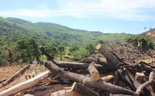 Đặc biệt trên báo in ngày 16.10.2017