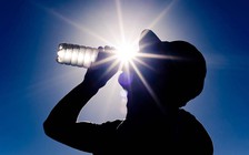 Hiện tượng nóng toàn cầu ảnh hưởng đến sức khỏe như thế nào?