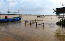 Đi 'săn' lộc trời ở nơi người dân dành tiền mua lạch chứ không mua vàng