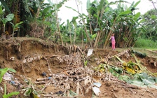 Thấp thỏm sống bên bờ sạt lở