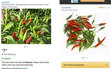 Ớt Việt được rao bán trên Amazon 670.000 đồng/kg