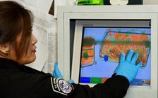 Mỹ phá đường dây trộm hàng ngàn laptop đưa sang Việt Nam