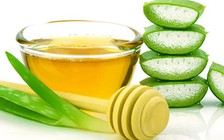 Lợi ích sức khỏe từ lô hội và mật ong