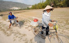 Nam bộ sắp vào cao điểm nắng nóng