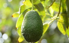 5 loại khoáng chất giúp phụ nữ giảm căng thẳng hiệu quả