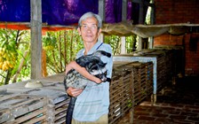 Nuôi chồn hương cho thu nhập ổn định