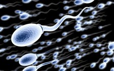 Phát hiện mới: Số lượng tinh trùng thấp ảnh hưởng đến sức khỏe tổng thể