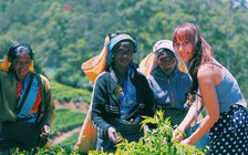 Vì sao giới trẻ kiếm nhiều tiền nhưng vẫn “cháy túi” ?