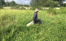 Thu hồi các dự án 'treo'