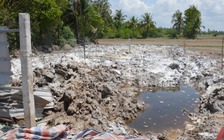 Phát hiện doanh nghiệp đào hố chôn gần 380 con heo chết