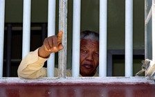 Ra mắt sách về lãnh đạo Nelson Mandela