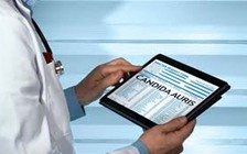 Ghi nhận ca đầu tiên nhiễm siêu vi khuẩn nấm độc ở Vitoria, Úc