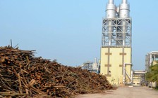 Chậm 1 năm, bị phạt 130 triệu đồng