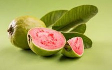 Chiết xuất từ lá ổi có tác dụng chống ung thư