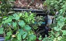 Xe tải chở cà phê lao xuống vực sâu, tài xế và phụ xe kẹt trong cabin