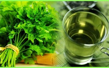 Lợi ích ngừa bệnh tuyệt vời của rau mùi tây