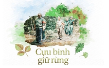 Cựu binh giữ rừng