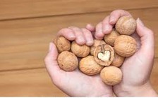 Bạn có biết chọn đúng nguồn đạm để tốt cho tim?