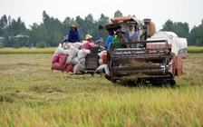 Hơn 1,7 triệu tỉ đồng đổ vào nông nghiệp