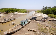 Hạn, mặn khốc liệt ở miền Tây