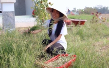 Hành trình đi tìm ước mơ của cô gái bại liệt