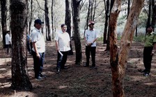 Rừng phòng hộ bị người dân róc vỏ mang về trồng phong lan