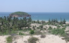 Một cá nhân gom hơn 80 ha đất ven biển ở Bình Thuận