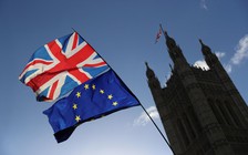 Gần 100 công ty chuyển từ Anh sang Hà Lan vì Brexit