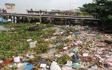 Cuối sông, không phải... phù sa