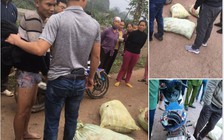 Choáng với tên trộm liều lĩnh rắc bả chó cả xóm, gom 3 bao tải xác chó mèo