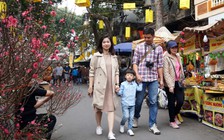 Tết này đi đâu, chơi gì?