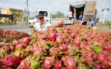 Tin tức đặc biệt trên báo in ngày 13.2.2020