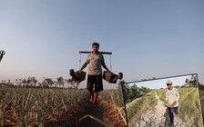 2020 sẽ là năm của thiên tai bất thường ?