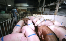 Những doanh nghiệp thắng lớn trong dịch