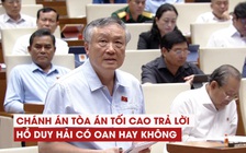 Nhiều thành viên Ủy ban Tư pháp kiến nghị xem xét lại quyết định giám đốc thẩm vụ Hồ Duy Hải