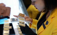 SJC tiến sát 50 triệu đồng/lượng