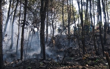 Khoảng 30 ha rừng bị thiêu rụi sau hơn 2 ngày bùng cháy