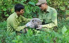 Tin tức đặc biệt trên báo in ngày 10.7.2020