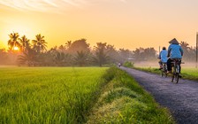 Bén duyên chụp ảnh nhờ... stress, chàng trai miền Tây gây 'sốt' với trang ảnh Bến Tre