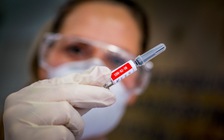 Vắc xin Covid-19 trong tầm tay