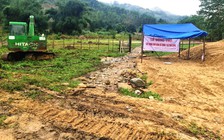 Đi lên từ trong tang thương