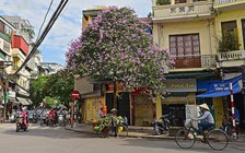 Kéo dài thời gian nhận bài cuộc thi viết 'Hà Nội thành phố tôi yêu'