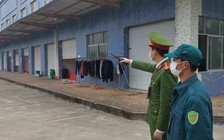 Vụ bé trai nghi bị bắt cóc ở Quảng Ninh: Nghi can định bán bé sang Trung Quốc