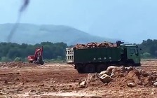 Khai thác đất lậu, 2 doanh nghiệp bị phạt, buộc thu hồi trên 730 triệu đồng